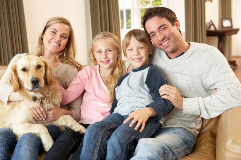 Improve Indoor Air Quality for a Happy Family